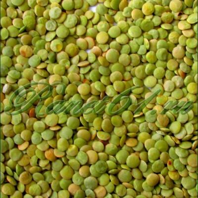 Чечевица зеленая (5кг)