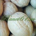 Грецкий орех в скорлупе отборный ( 1кг)