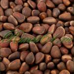 Кедровый орех в скорлупе (0,5кг)